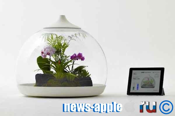 Biome Smart Terrarium