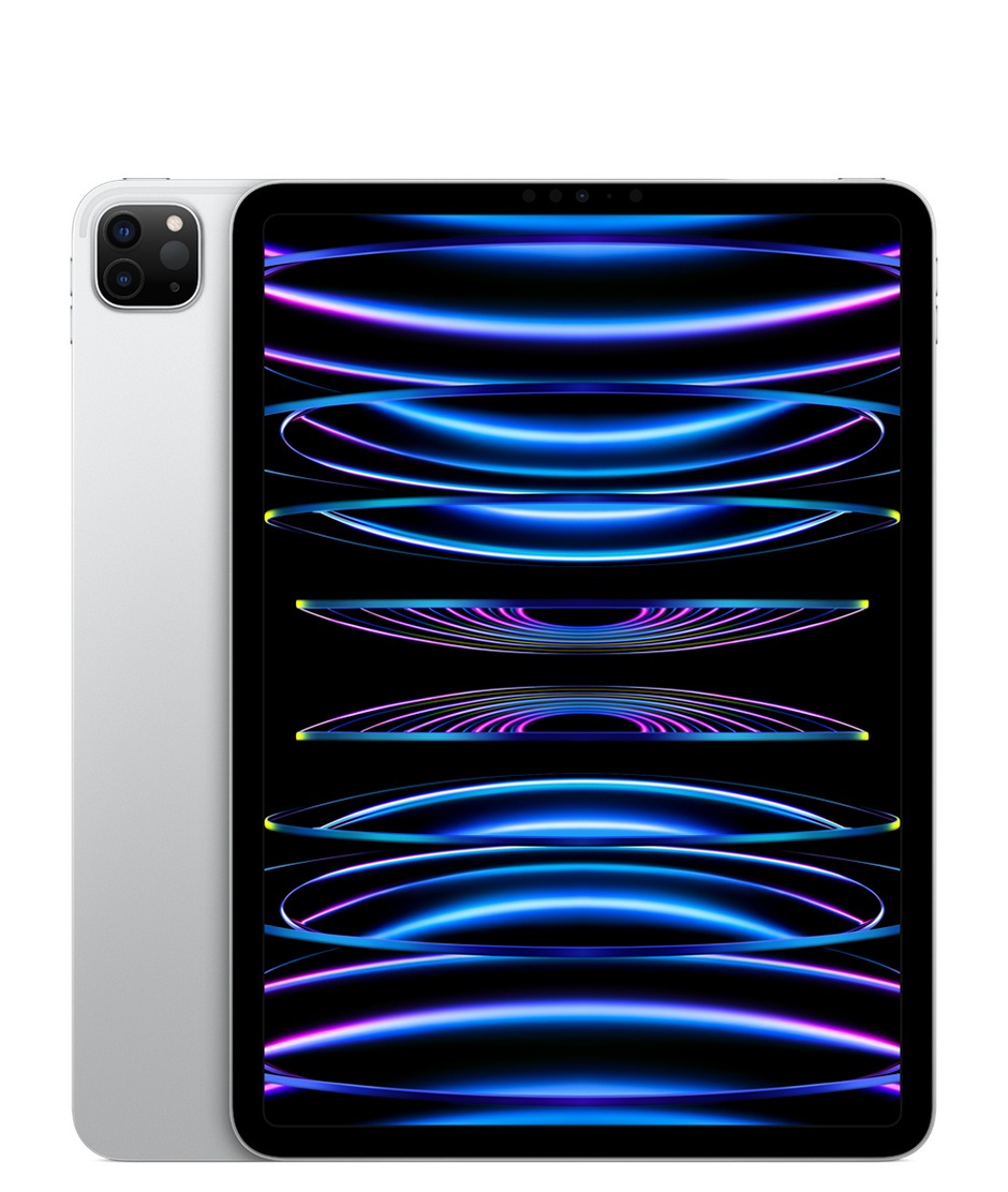 фотография кейс для iPad 2 от Silva